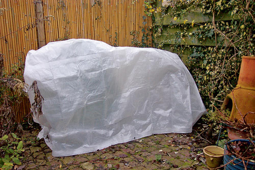 Artikelbild